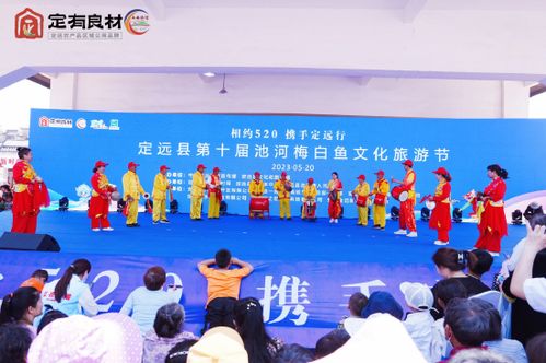 魚(yú)躍池河 詩(shī)畫(huà)定遠(yuǎn)——第十屆池河梅白魚(yú)文化旅游節(jié)文體活動(dòng)策劃方案